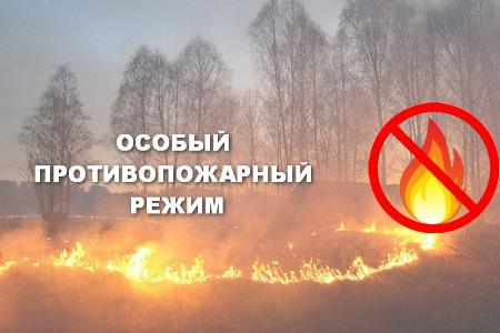 Распоряжением Правительства Орловской области от 19 апреля 2023 года № 243-р на территории региона с 19 апреля введен особый противопожарный режим.